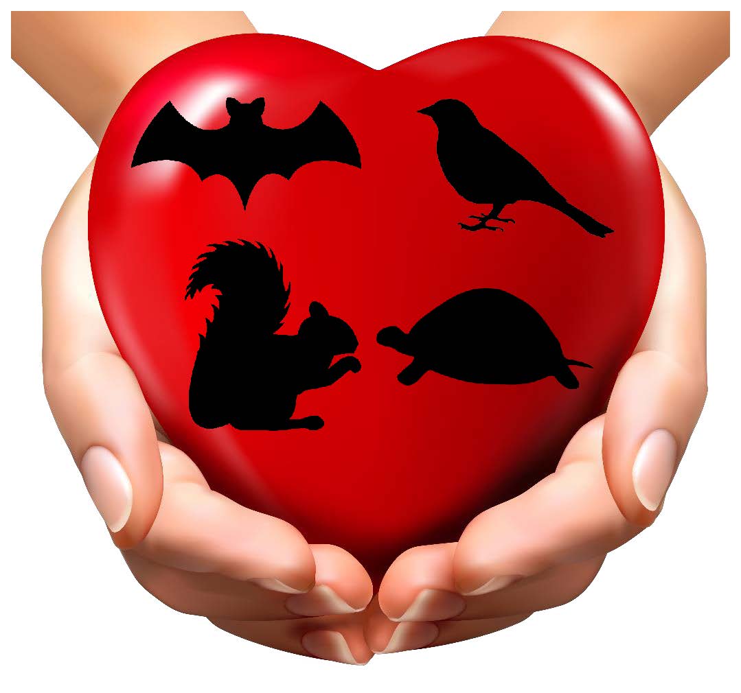 Claws N Paws Rehabilitation Center logo